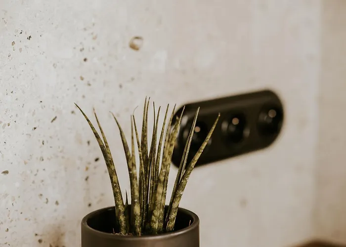 Kamienna Azyl - Z Sauna I Balia, Kotlina Klodzka Дом отдыха *