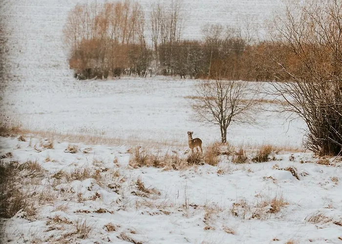 Kamienna Azyl - Z Sauna I Balia, Kotlina Klodzka Kamienna (Klodzko)